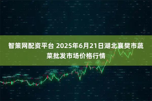 智策网配资平台 2025年6月21日湖北襄樊市蔬菜批发市场价格行情