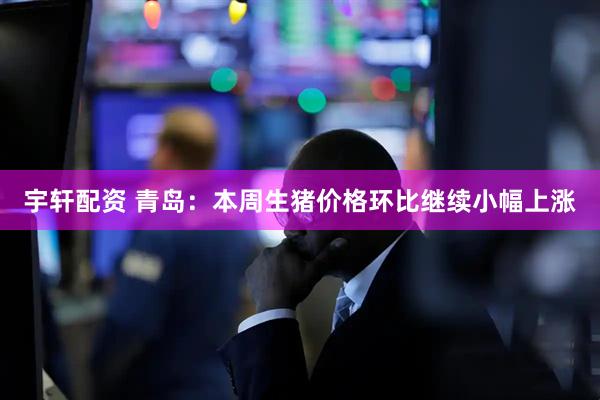 宇轩配资 青岛：本周生猪价格环比继续小幅上涨